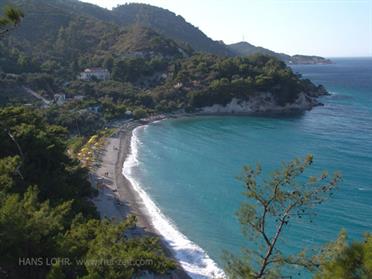 2005 Samos DSC05377_478